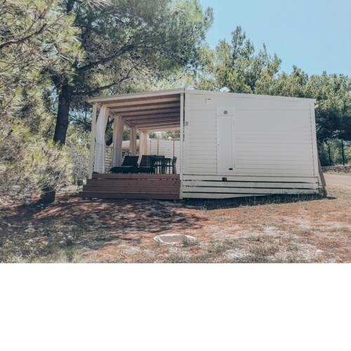 Mighty Mobile Homes - luxury camping experience