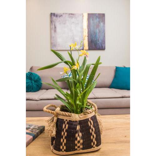 Miltonia Apartment