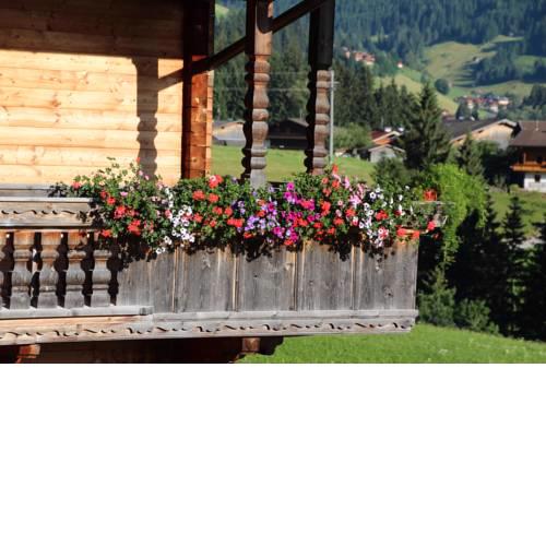 Moahof's Zuhaus