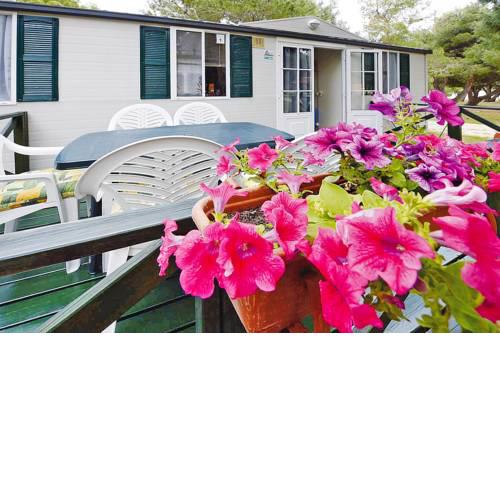Mobile Homes Dalmacija Privlaka - CDN02112-MYA