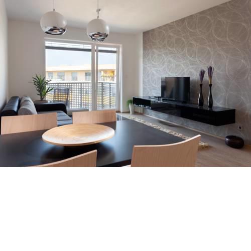 Modern Apartment Brno