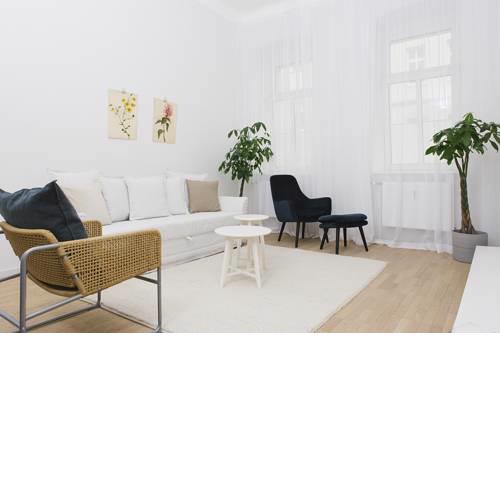 Modern Apartment in the Beautiful Neighborhood