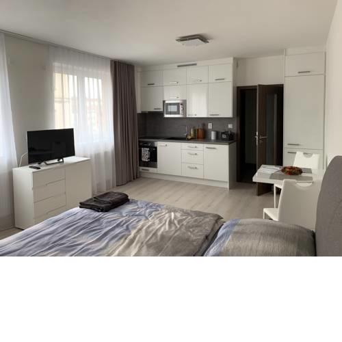 Modern apartment in the city center