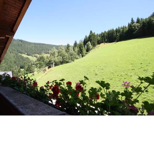 Modern Apartment in Wagrain near Ski Area