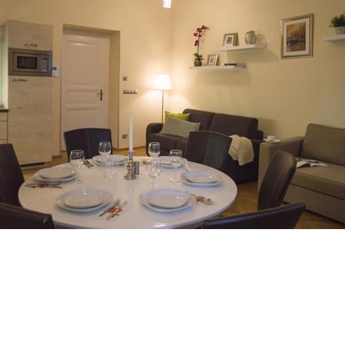 Modern Apartment Všehrdova