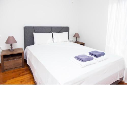 Modern apt in heart of Paleo Faliro!
