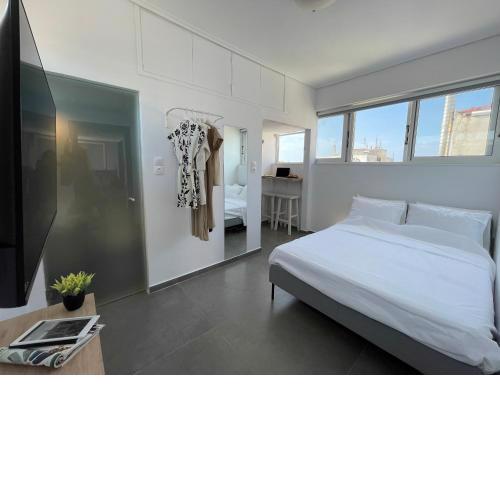 Modern rooftop apartment