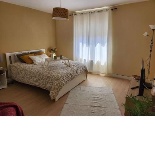 Moderno Apartamento Cerca del centro en León