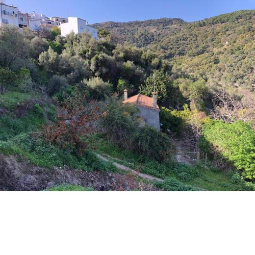 Molino de Santos