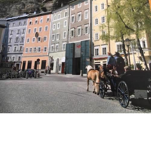 Mönchsbergapartments
