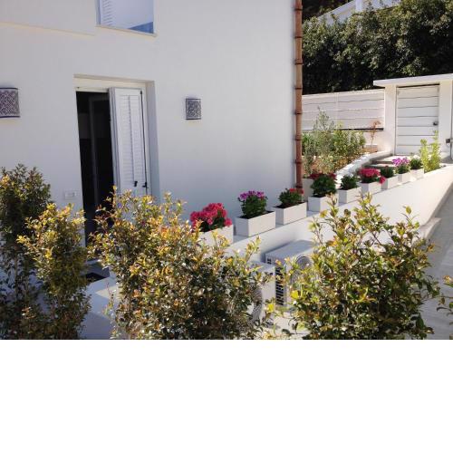 Mondello Suites Feels Like Home