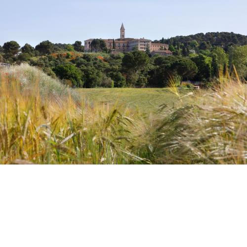 Monestir de Les Avellanes