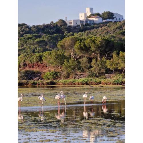 Mongofre Agroturismo