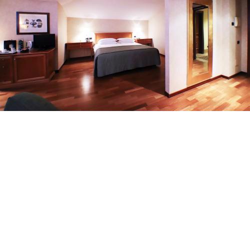 Monica Hotel Fiera