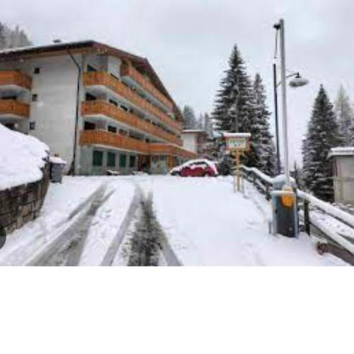Monolocale a 150m da impianto di risalita Spinale CIPAT O22247-AT-O11471