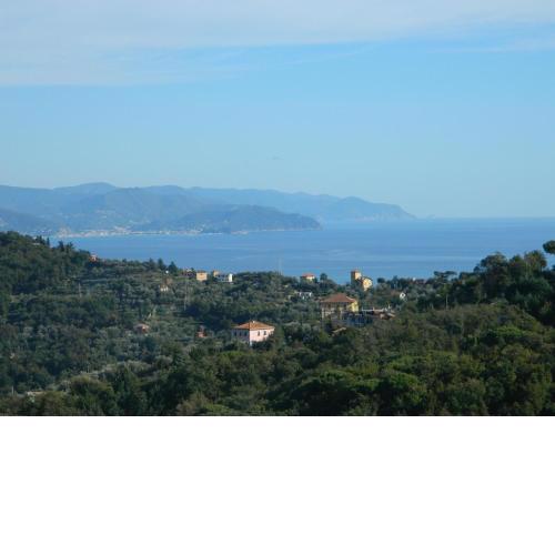 Monolocale Fattorialmare Gialla