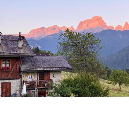 Monolocale in chalet alpino 022143-AT-010681
