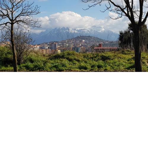 Monolocale indipendente con giardino