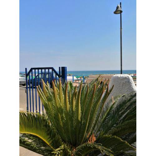 Monolocale Tirreno studio seafront