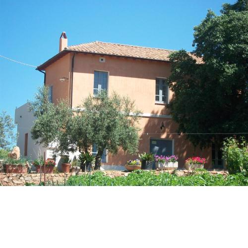 Monte Astili