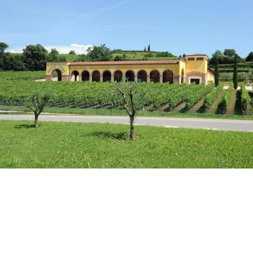 Monte Tondo Winery