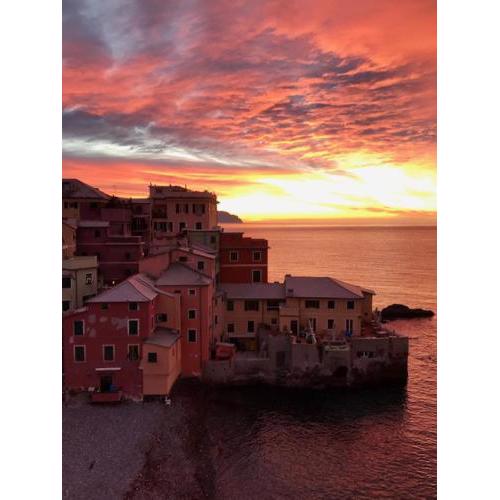 MOONLIGHT IN BOCCADASSE (cod.Citra:010025-LT-2349)