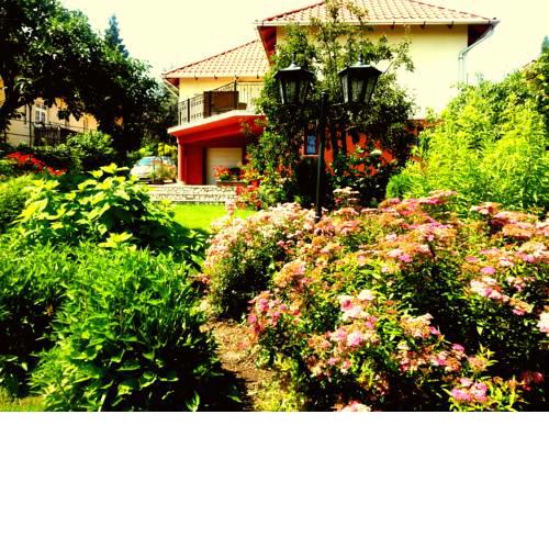 Móricz Apartman