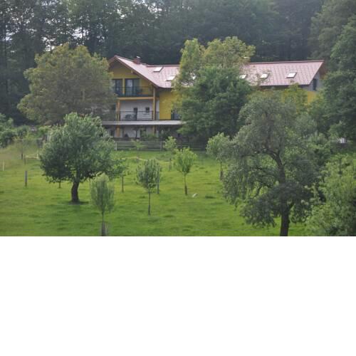 Mostheuriger Steyrdurchbruchalm