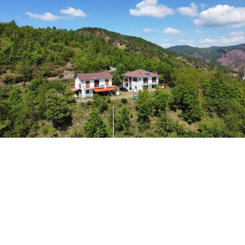 Moto Pareto B&B
