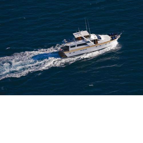 Motor Boat Paloma Rea