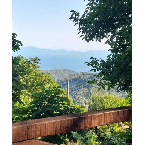 Mountain and Sea view