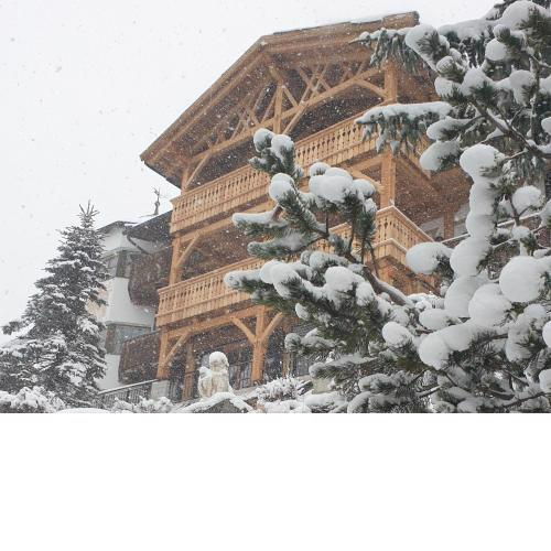 Mountain Residence Bergrichter
