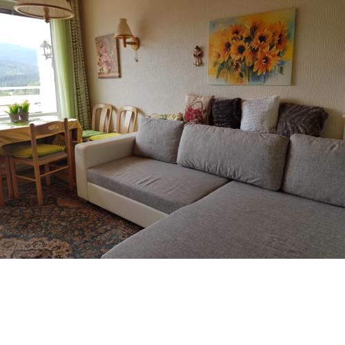 Mountain View Apartment