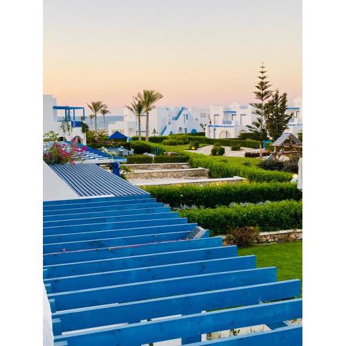 ماوتن فيو / Mountain View North Coast