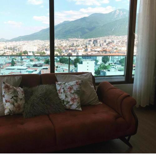 Mountains view
