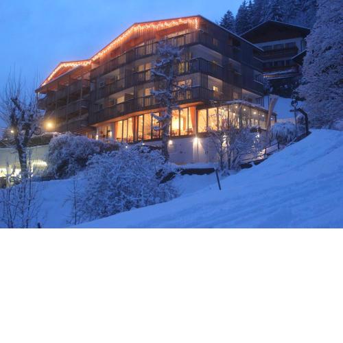 Mounthotel Niggl