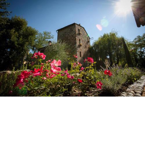 Mulino in Chianti