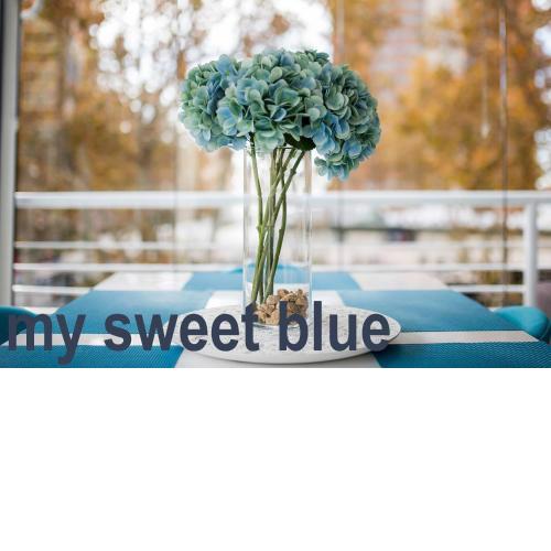 My Sweet Blue Apartment