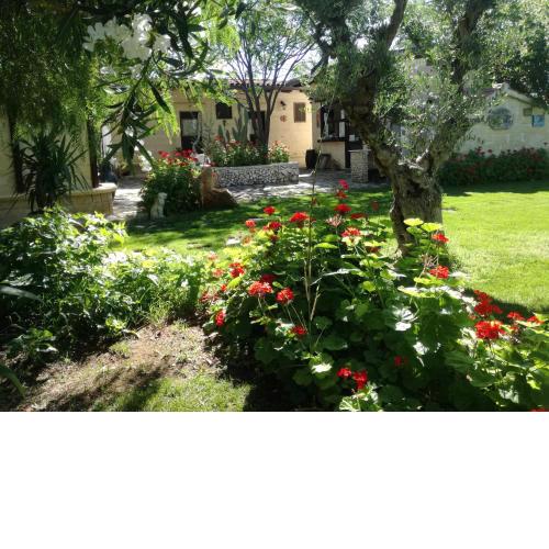 MyLife B&B Country House