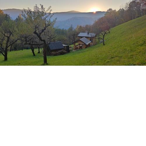 Na samote u lesa