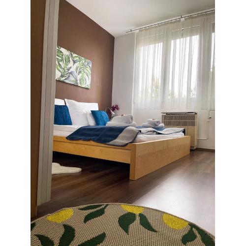 Nagyerdei Rózsahegy Apartman Greatforest Rosehill Apartment