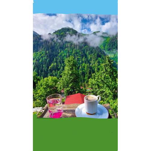 Nanus Ayder Bungalow and Breakfast