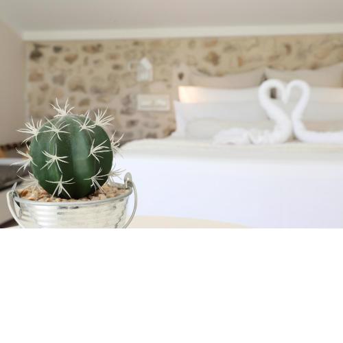 Nasilvana Hotel & Spa Adults Only