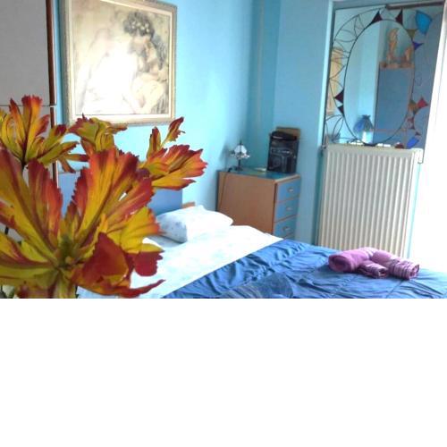 Nasos Cozy Place