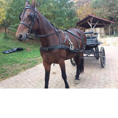 Naszály Kapuja vendégház