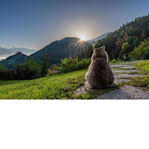 Natur Appartement Riesen
