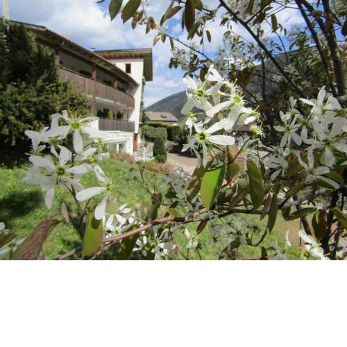 Natur Pur Hotel Unterpichl