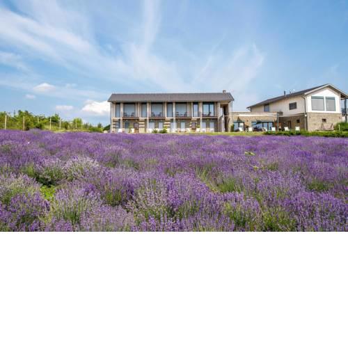 Natura Hill Vendégház és Étterem