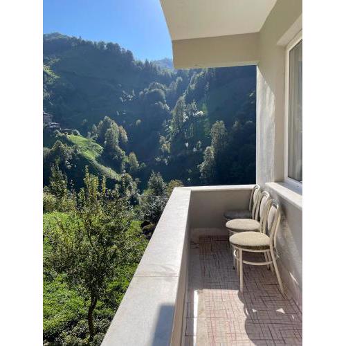 Natural life house