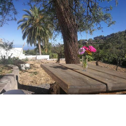 Naturaleza , tranquilidad, barbacoa....que mas!
